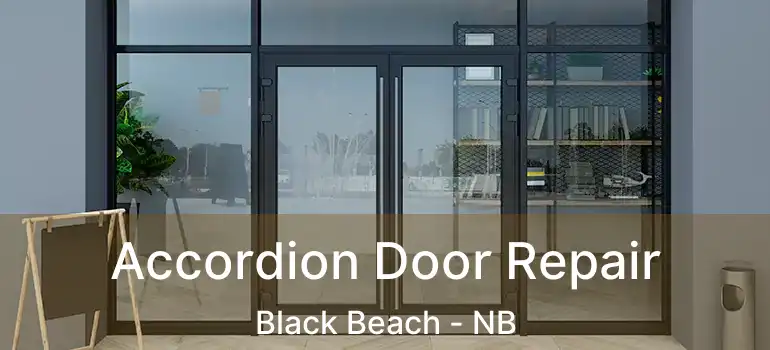  Accordion Door Repair Black Beach - NB