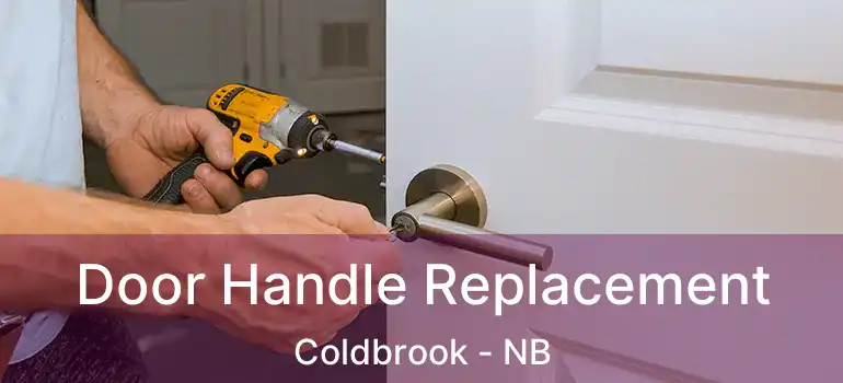  Door Handle Replacement Coldbrook - NB