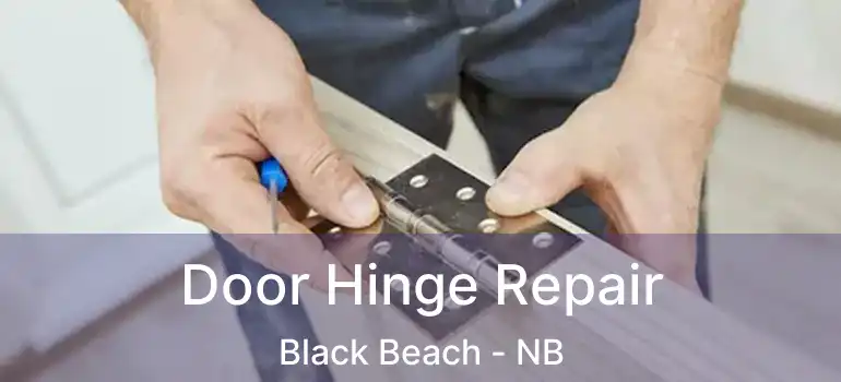  Door Hinge Repair Black Beach - NB
