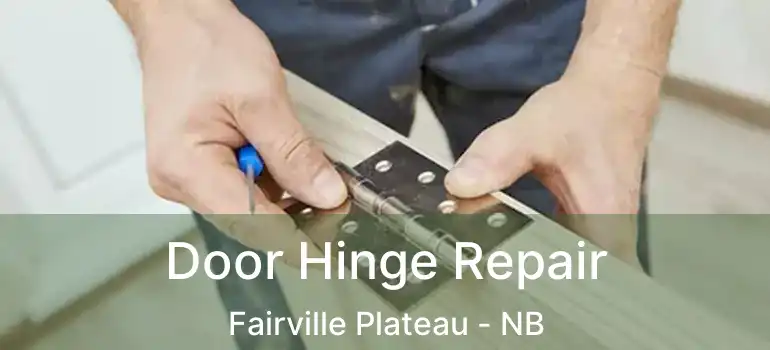  Door Hinge Repair Fairville Plateau - NB
