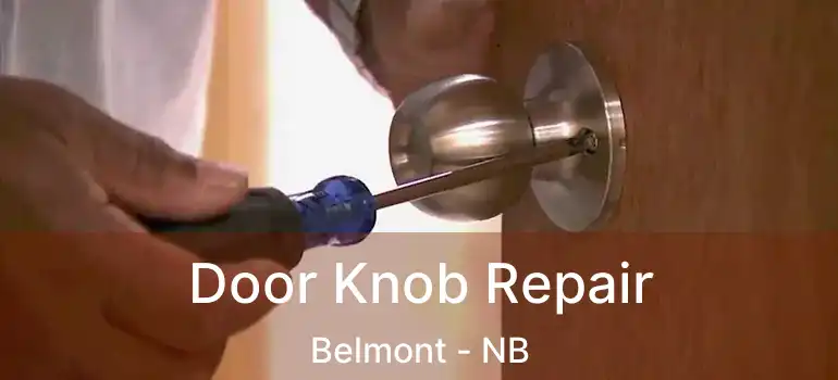  Door Knob Repair Belmont - NB