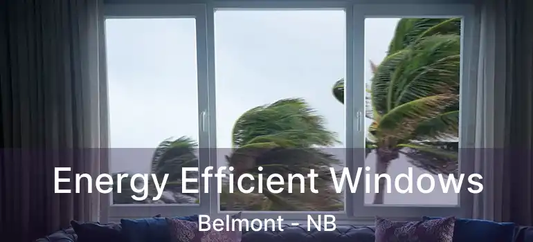  Energy Efficient Windows Belmont - NB