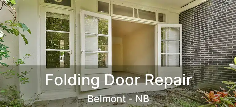  Folding Door Repair Belmont - NB