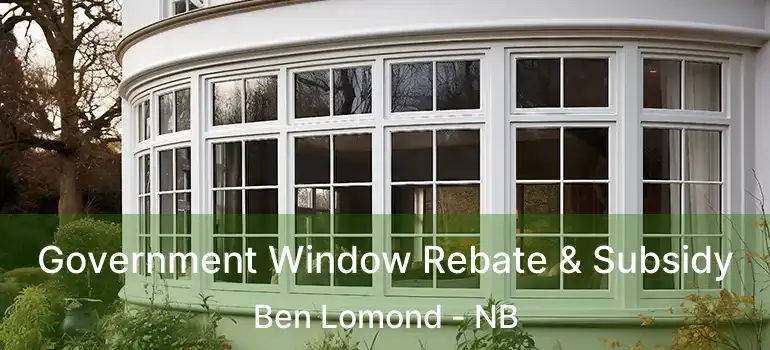  Government Window Rebate & Subsidy Ben Lomond - NB