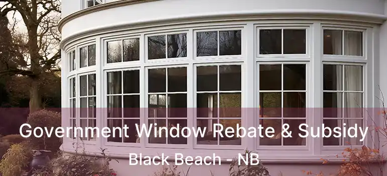  Government Window Rebate & Subsidy Black Beach - NB