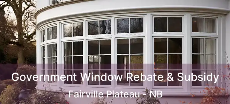  Government Window Rebate & Subsidy Fairville Plateau - NB
