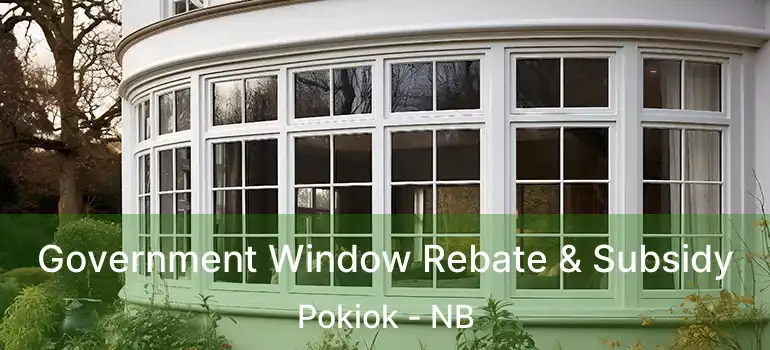  Government Window Rebate & Subsidy Pokiok - NB