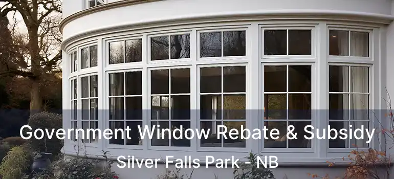 Government Window Rebate & Subsidy Silver Falls Park - NB