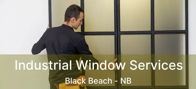  Industrial Window Services Black Beach - NB