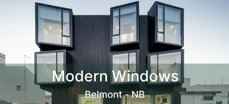  Modern Windows Belmont - NB