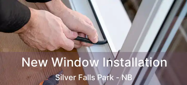  New Window Installation Silver Falls Park - NB