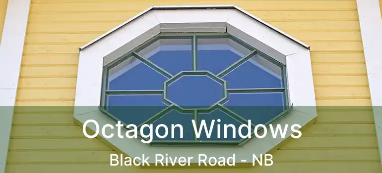  Octagon Windows Black River Road - NB