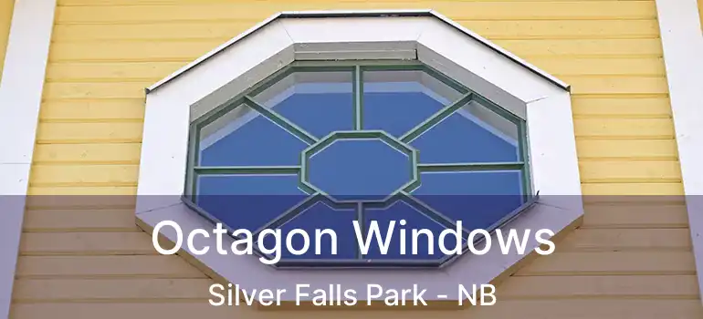  Octagon Windows Silver Falls Park - NB