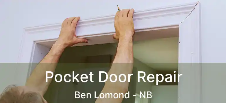  Pocket Door Repair Ben Lomond - NB