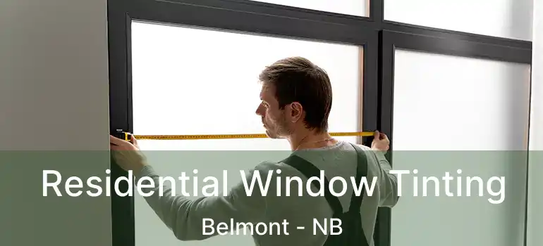  Residential Window Tinting Belmont - NB