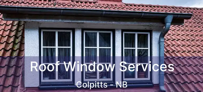  Roof Window Services Colpitts - NB