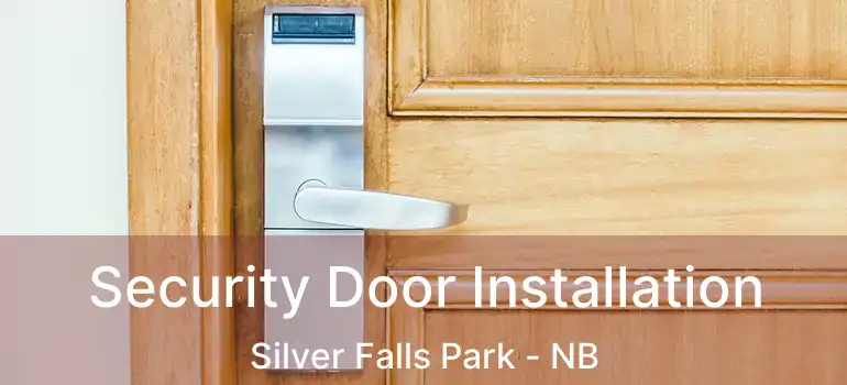  Security Door Installation Silver Falls Park - NB