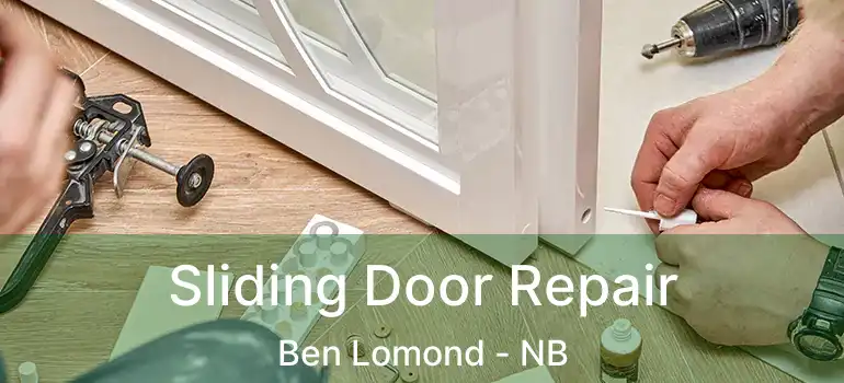  Sliding Door Repair Ben Lomond - NB