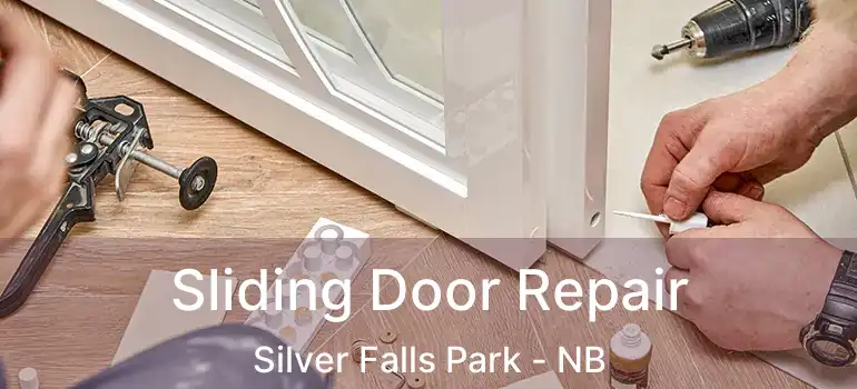 Sliding Door Repair Silver Falls Park - NB