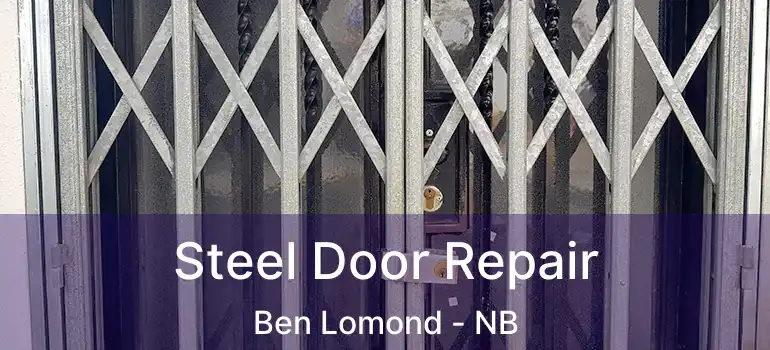  Steel Door Repair Ben Lomond - NB