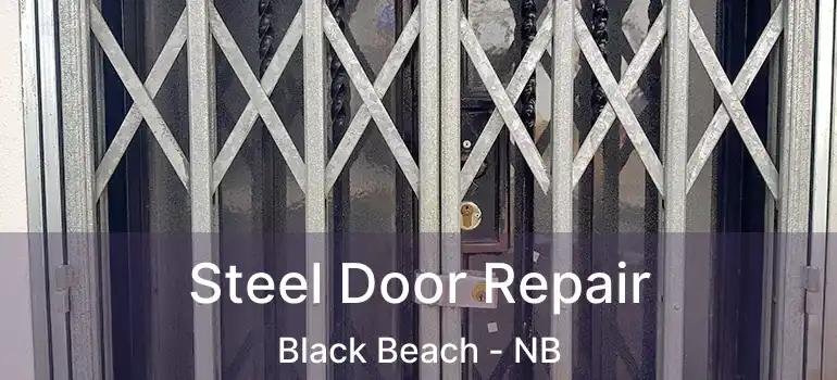  Steel Door Repair Black Beach - NB