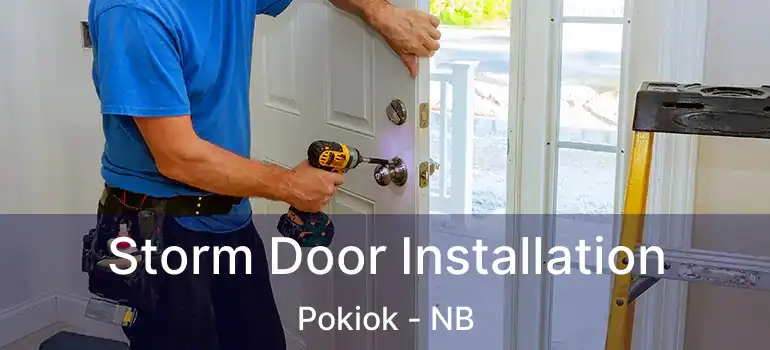  Storm Door Installation Pokiok - NB