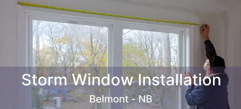  Storm Window Installation Belmont - NB