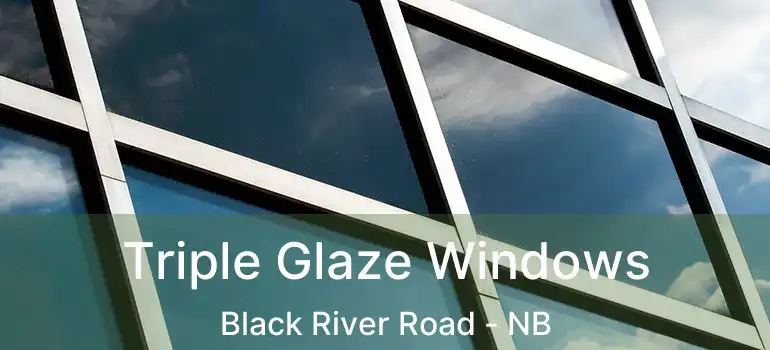  Triple Glaze Windows Black River Road - NB