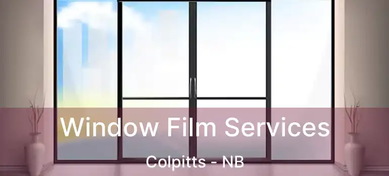  Window Film Services Colpitts - NB