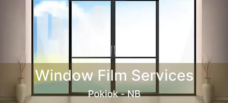  Window Film Services Pokiok - NB