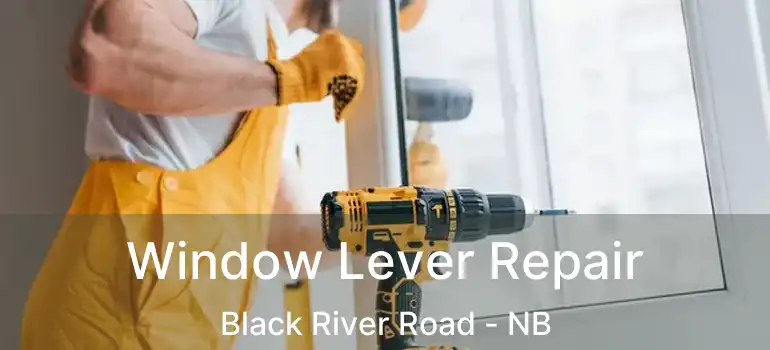  Window Lever Repair Black River Road - NB