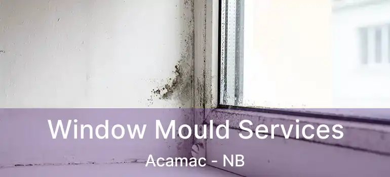  Window Mould Services Acamac - NB