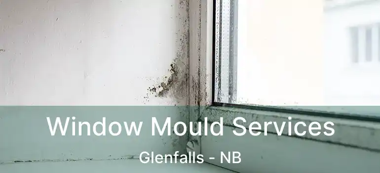  Window Mould Services Glenfalls - NB