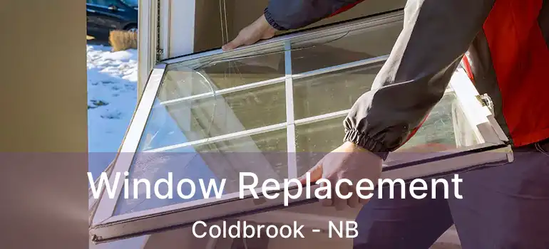  Window Replacement Coldbrook - NB