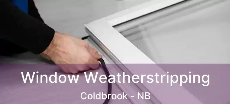  Window Weatherstripping Coldbrook - NB