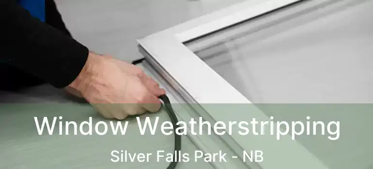  Window Weatherstripping Silver Falls Park - NB