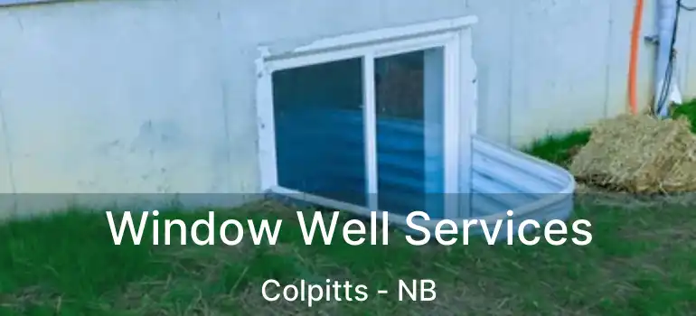  Window Well Services Colpitts - NB